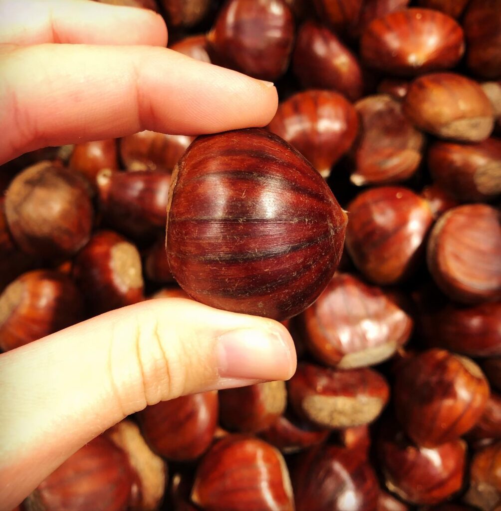 Ottimo alleato della salute: Castagne